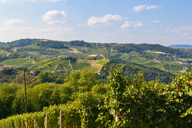 Barbaresco wijn