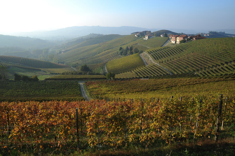 Drie generaties passie voor Barbaresco