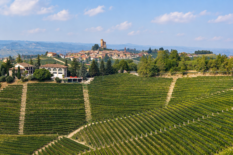 Barolo of Barbaresco: wat is het verschil?